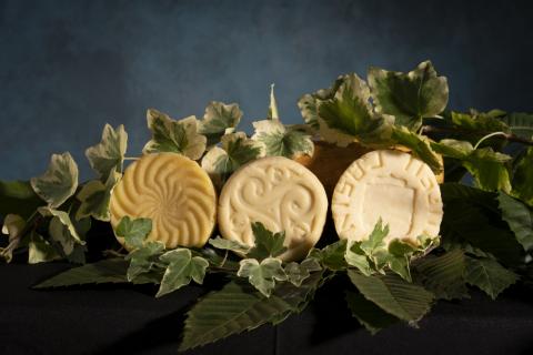 Queso Casin con denominacion de origen protegida